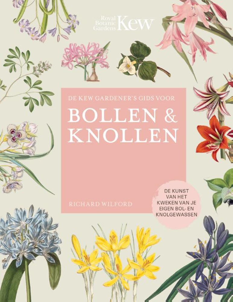 Chargez l'image dans la visionneuse de la galerie, De kew gardener's gids voor bollen kno
