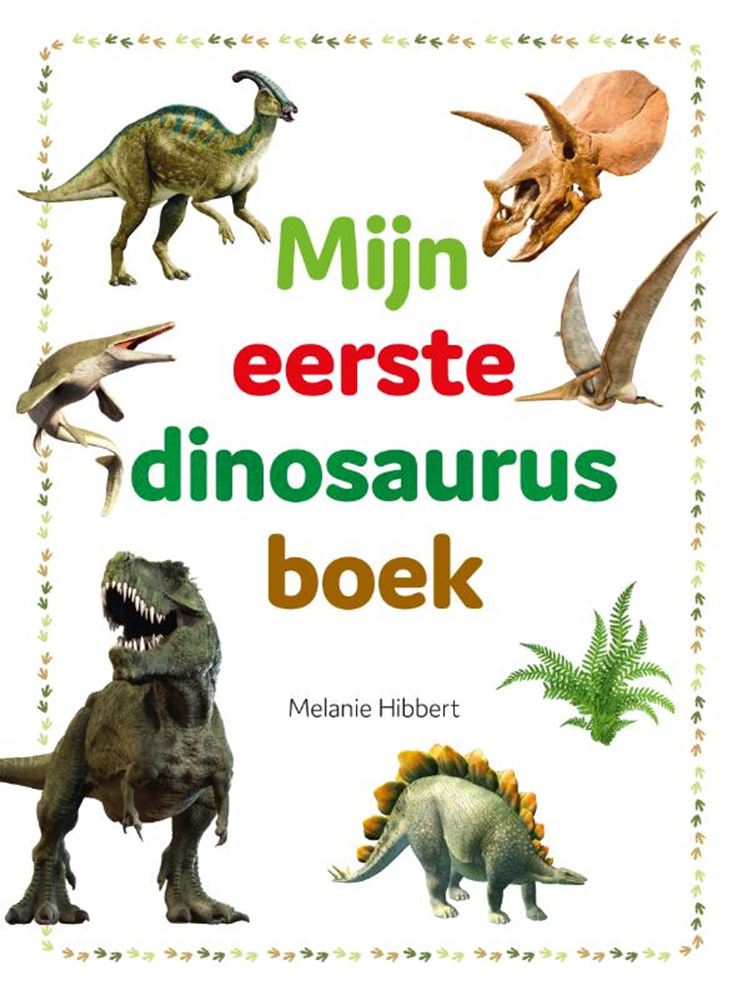 Afbeelding laden in galerijviewer, Rebo publishers mijn eerste dinosaurusboek 4+