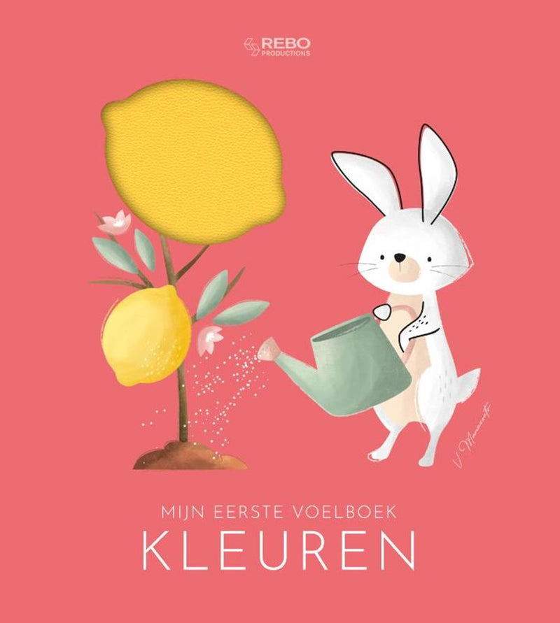 Afbeelding laden in galerijviewer, Rebo publishers kleuren - mijn eerste voelboek 0+