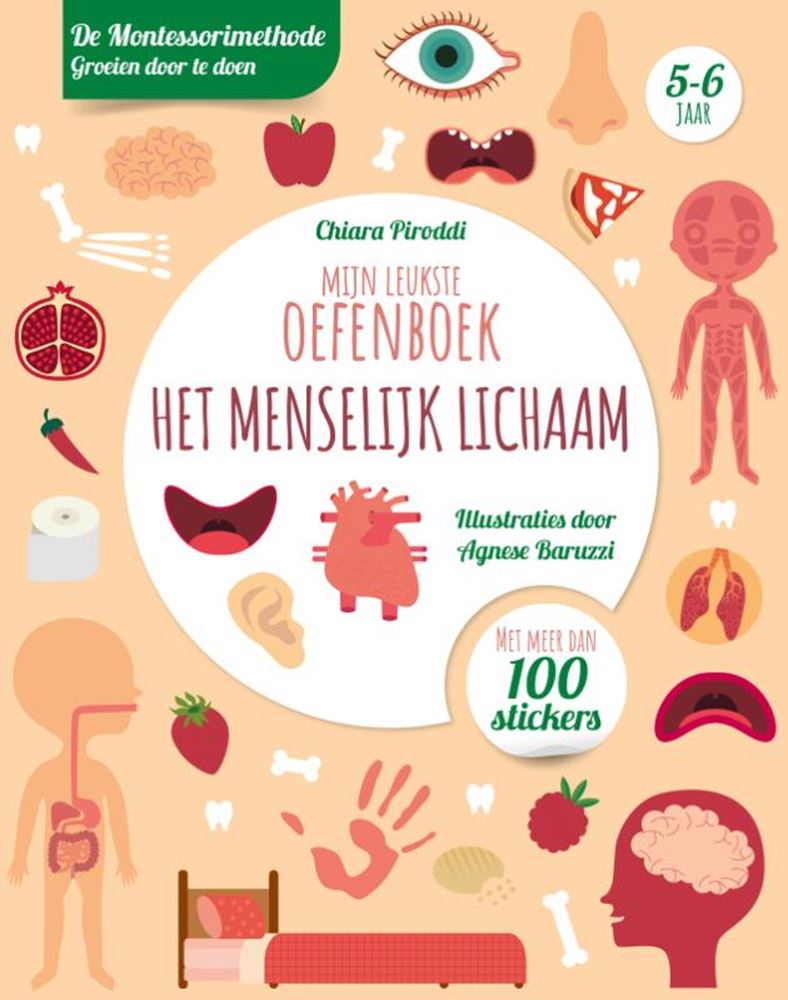 Afbeelding laden in galerijviewer, Rebo publishers mijn leukste oefenboek het menselijk lic