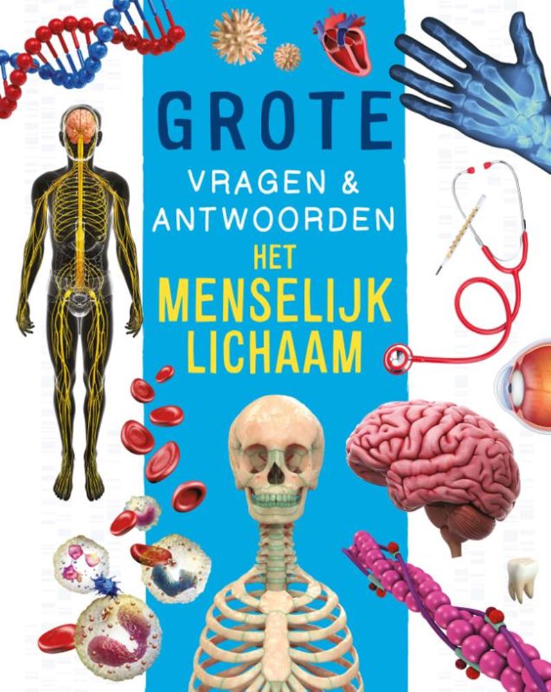 Chargez l'image dans la visionneuse de la galerie, Rebo publishers het menselijk lichaam - grote vragen antwoorden