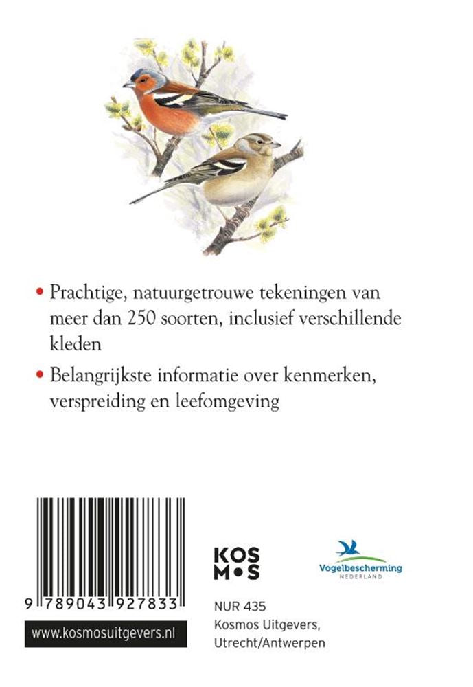 Chargez l'image dans la visionneuse de la galerie, Compactgids: vogels (pb)