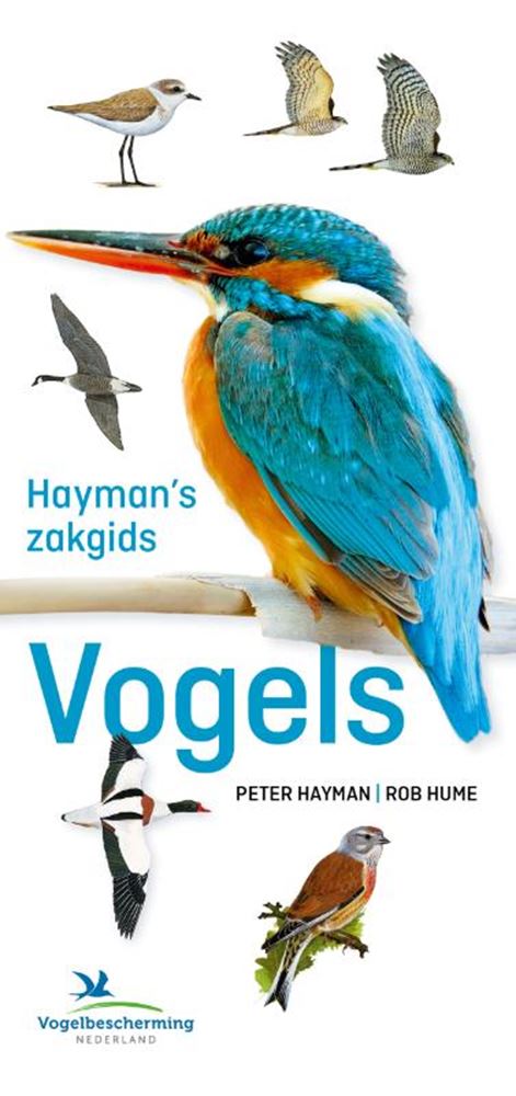 Chargez l'image dans la visionneuse de la galerie, Hayman's zakgids vogels volwassene