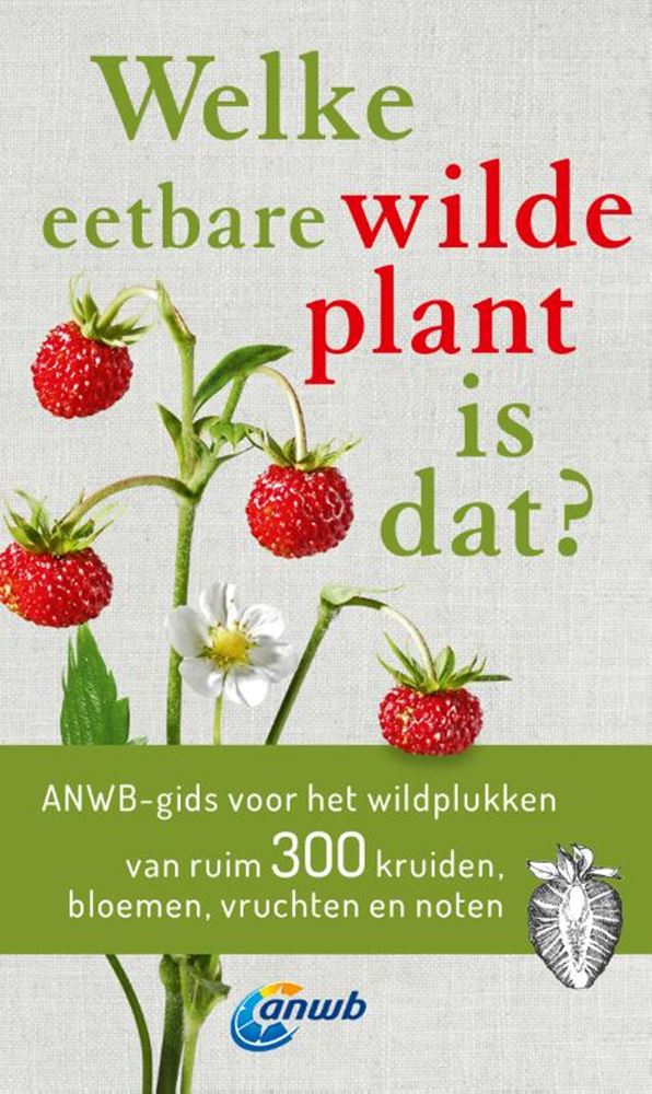 Chargez l'image dans la visionneuse de la galerie, Welke eetbare wilde plant is dat?
