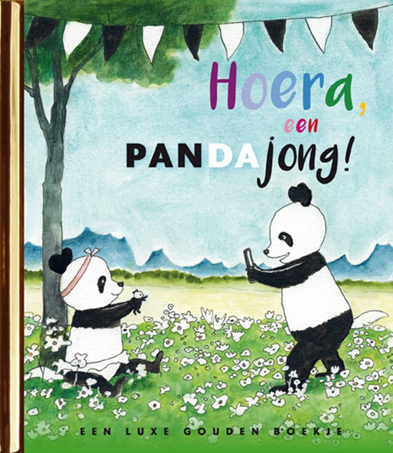Chargez l'image dans la visionneuse de la galerie, Hoera een pandajong! 4+