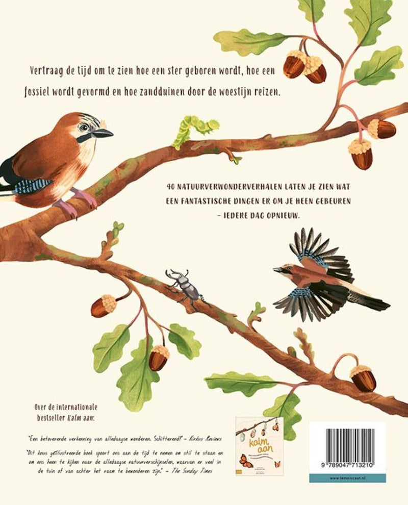 Afbeelding laden in galerijviewer, Kalm aan...en kijk om je heen. 8+