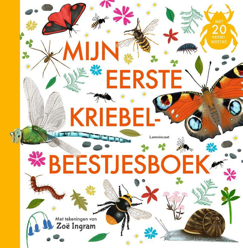 Afbeelding laden in galerijviewer, Mijn eerste kriebelbeestjesboek. 4+