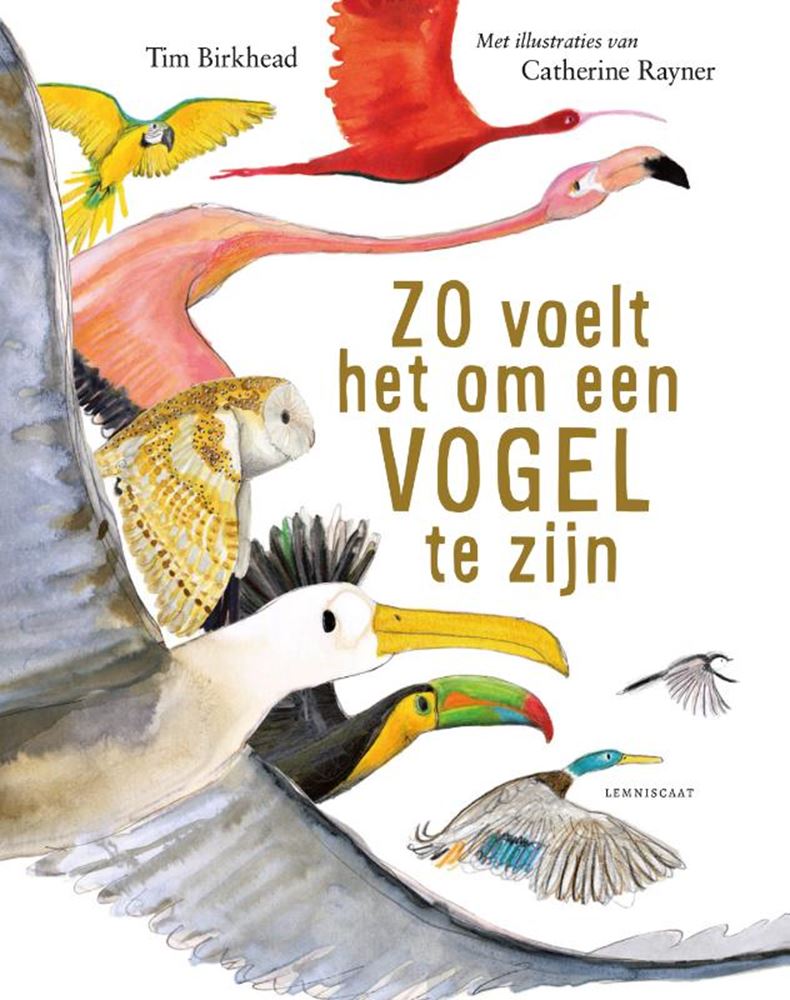 Afbeelding laden in galerijviewer, Zo voelt het om een vogel te zijn 9+