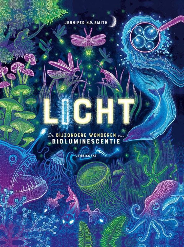 Chargez l'image dans la visionneuse de la galerie, Licht 10+