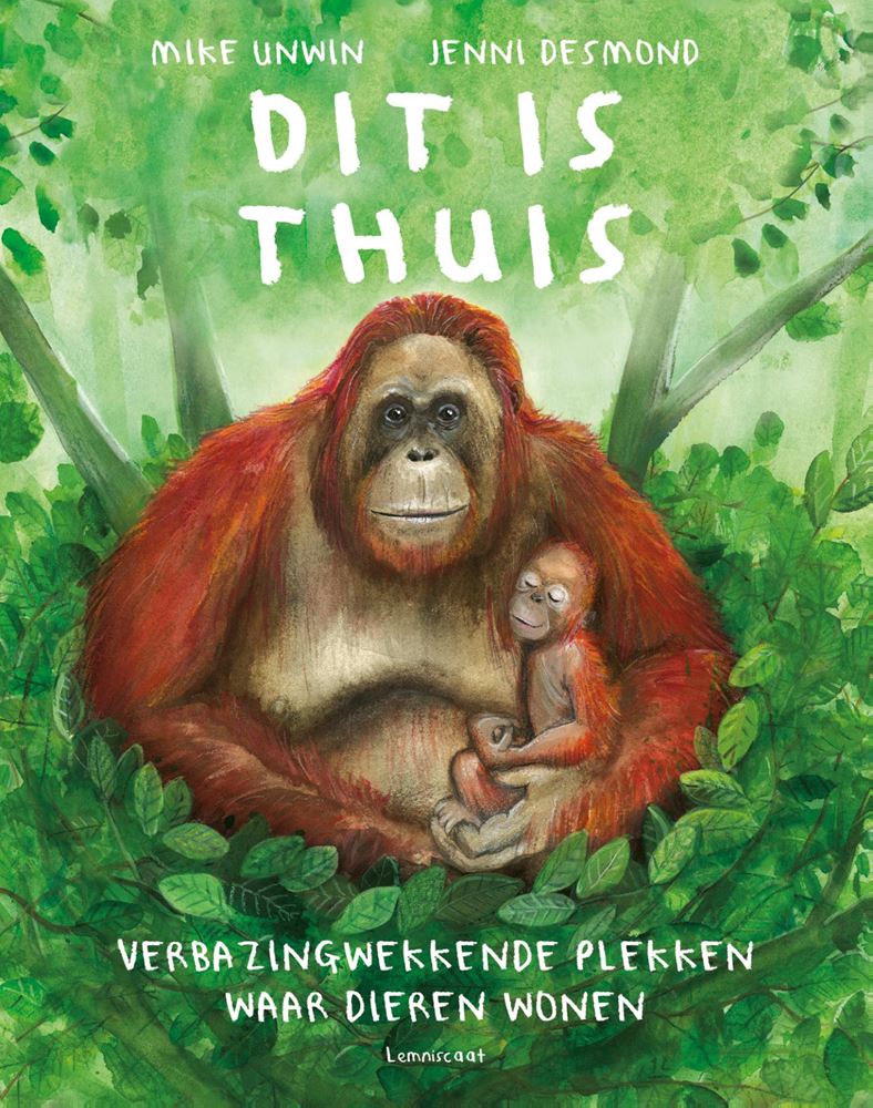 Afbeelding laden in galerijviewer, Prentenboek: dit is thuis. 9+
