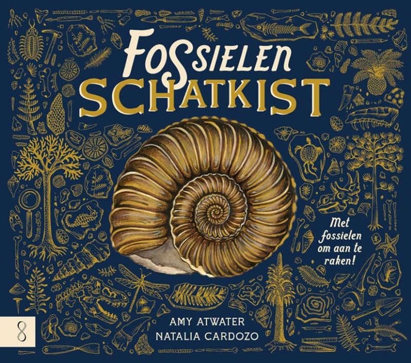 Afbeelding laden in galerijviewer, Informatief: de fossielenschatkist 7+