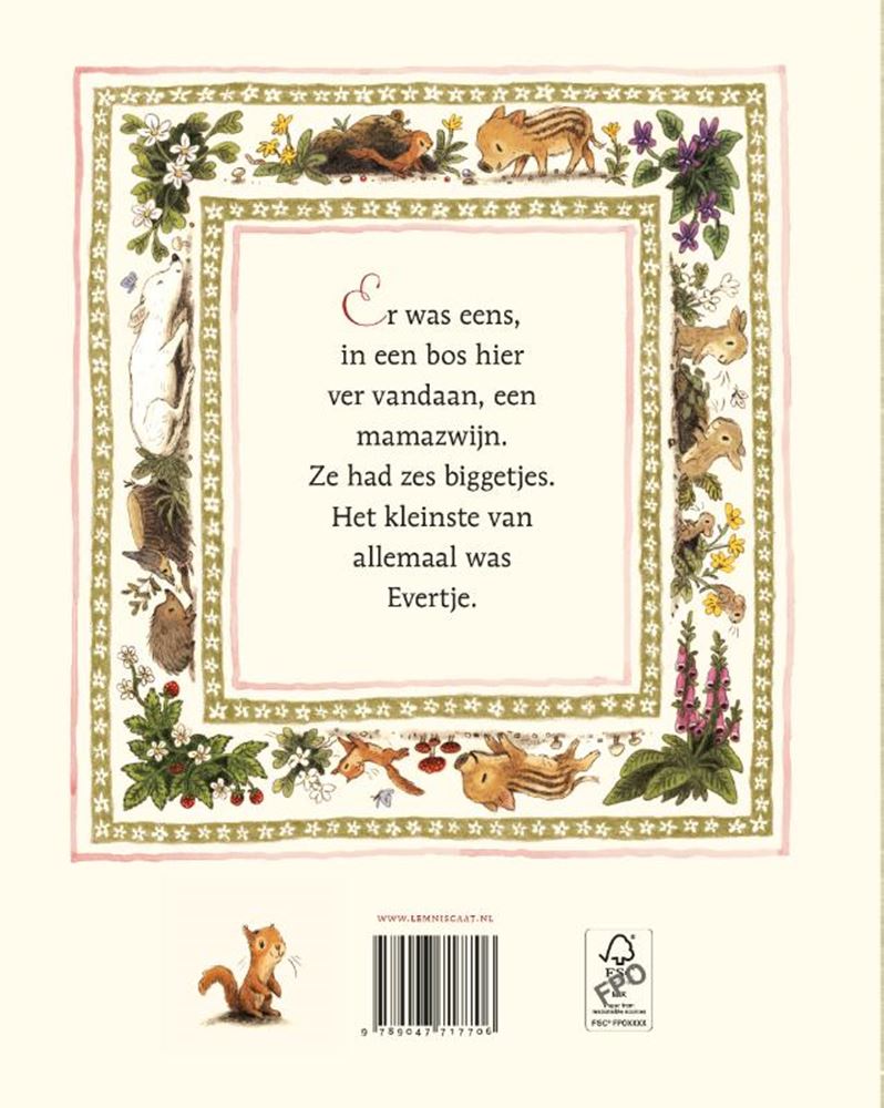 Afbeelding laden in galerijviewer, Prentenboek: evertje 4+