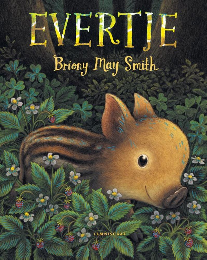 Afbeelding laden in galerijviewer, Prentenboek: evertje 4+