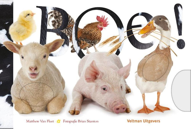 Afbeelding laden in galerijviewer, Kijk en voelboek: boe! 1+