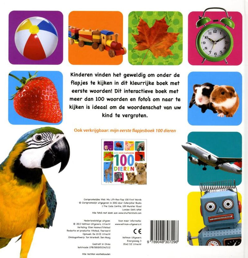 Afbeelding laden in galerijviewer, Mijn eerste flapjesboek 100 woorden. 1+