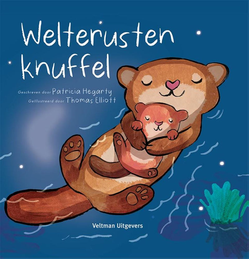 Afbeelding laden in galerijviewer, Kartonboek: welterustenknuffel 1+