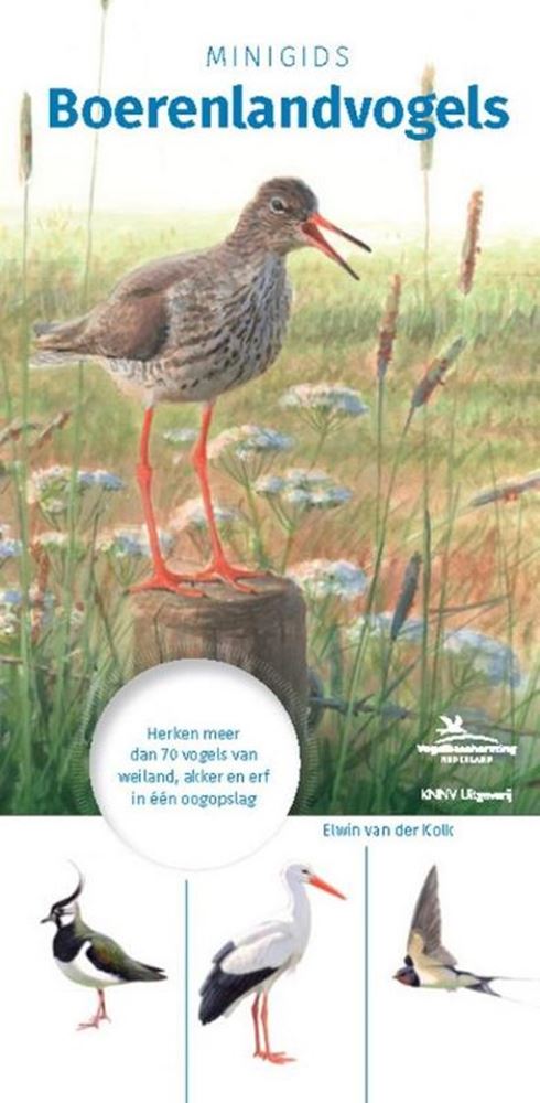 Afbeelding laden in galerijviewer, Minigids boerenlandvogels