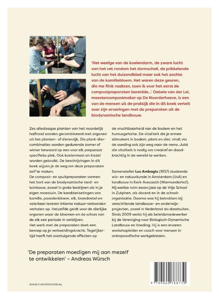 Afbeelding laden in galerijviewer, Werken aan vitaliteit
