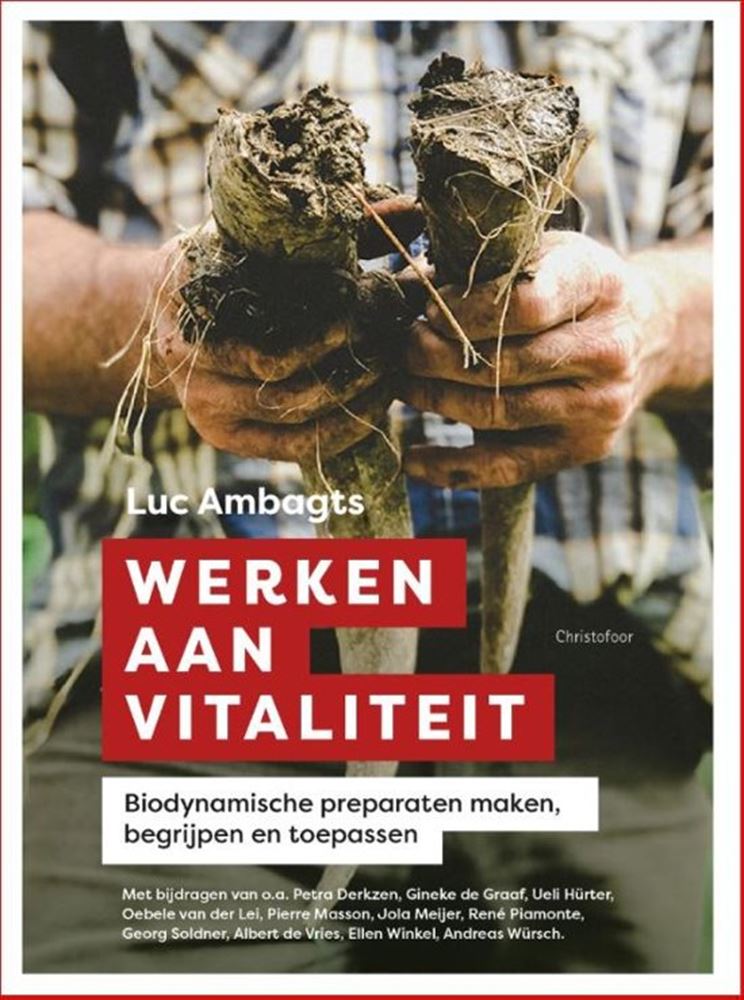 Afbeelding laden in galerijviewer, Werken aan vitaliteit