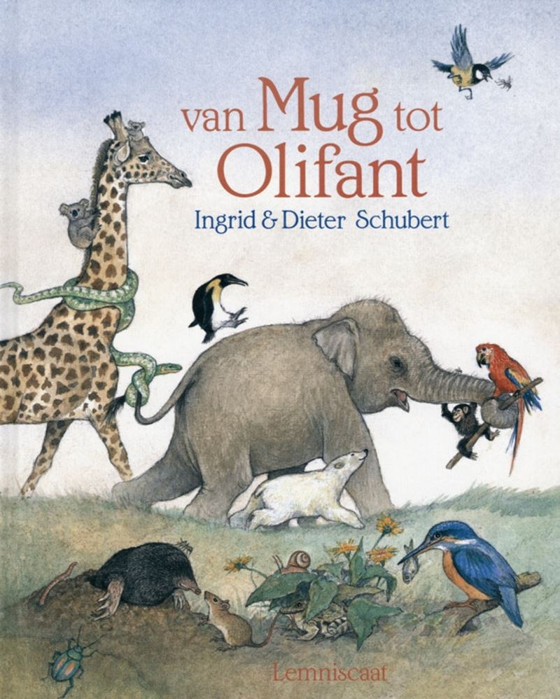 Afbeelding laden in galerijviewer, Van mug tot olifant. 5+