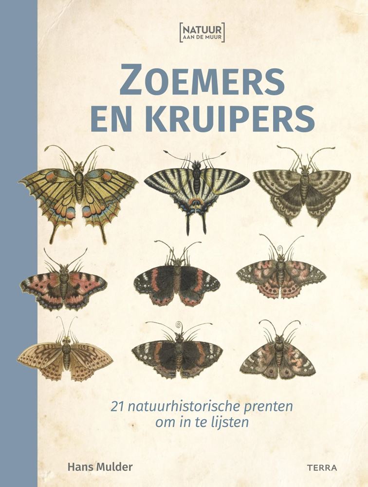 Afbeelding laden in galerijviewer, Natuur aan de muur, zoemers en kruipers.