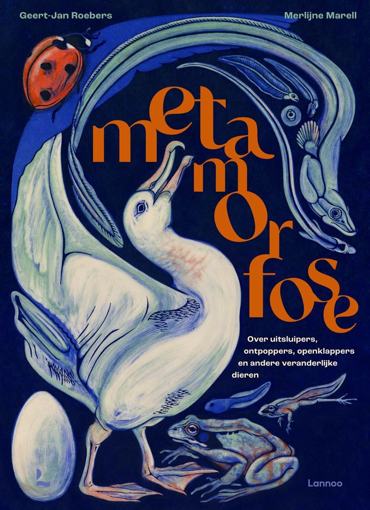ギャラリービューアに画像をロードする, Metamorfose. 8+