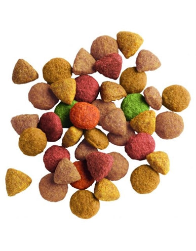 Load image into Gallery viewer, Lara Adult gevogelte kalkoen kip