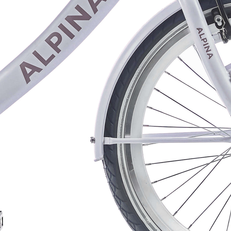 Load image into Gallery viewer, Alpina Spatbord set 22 Clubb frosty pink matt