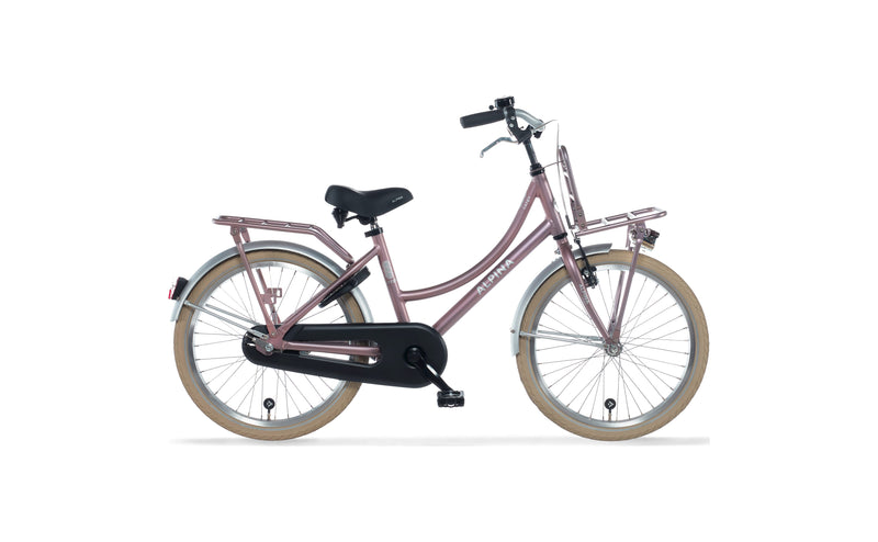 Load image into Gallery viewer, Alpina Cargo M20 Wood Rose Matt