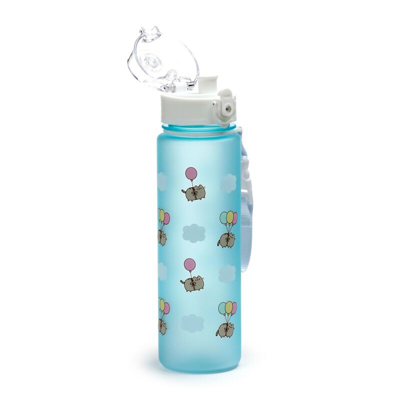 Load image into Gallery viewer, Union pusheen de kat ballonnen pop top 600ml ecozen drinkfles