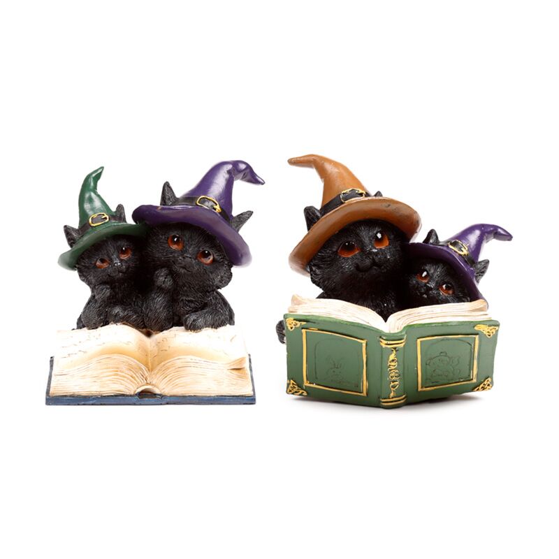 ギャラリービューアに画像をロードする, Heksen zwarte kat magical spell book