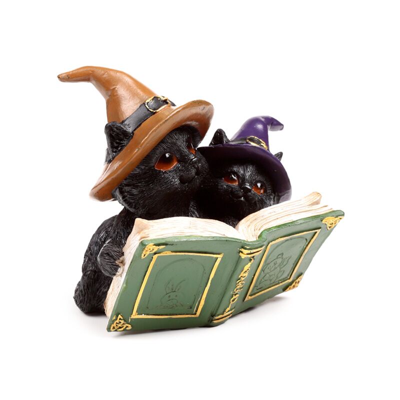 ギャラリービューアに画像をロードする, Heksen zwarte kat magical spell book