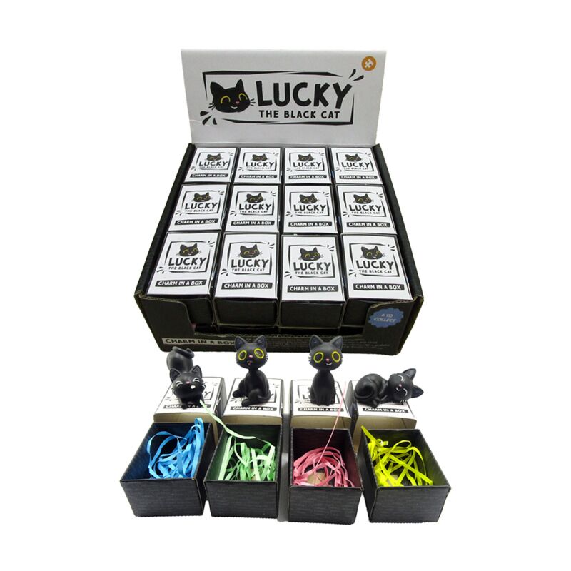 Laden Sie das Bild in Galerie -Viewer, Lucky de zwarte kat charm in doosje