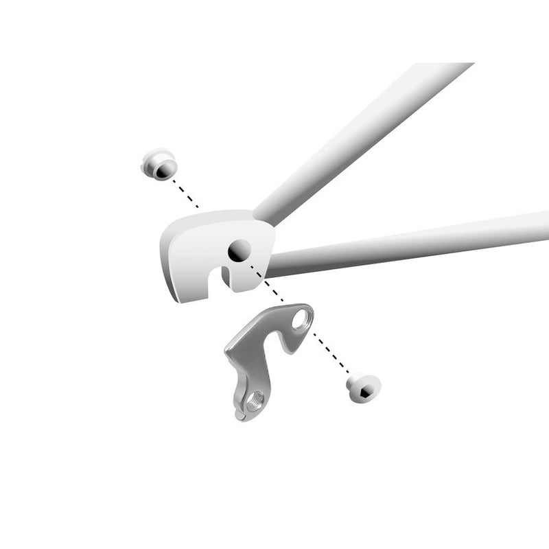 Load image into Gallery viewer, Union derailleurpad GH-069 met schroefset M8x0.75