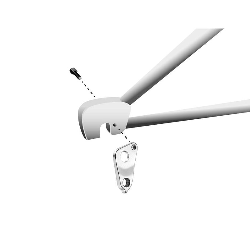 Load image into Gallery viewer, Union derailleurpad GH-159 Specialized met schroefset