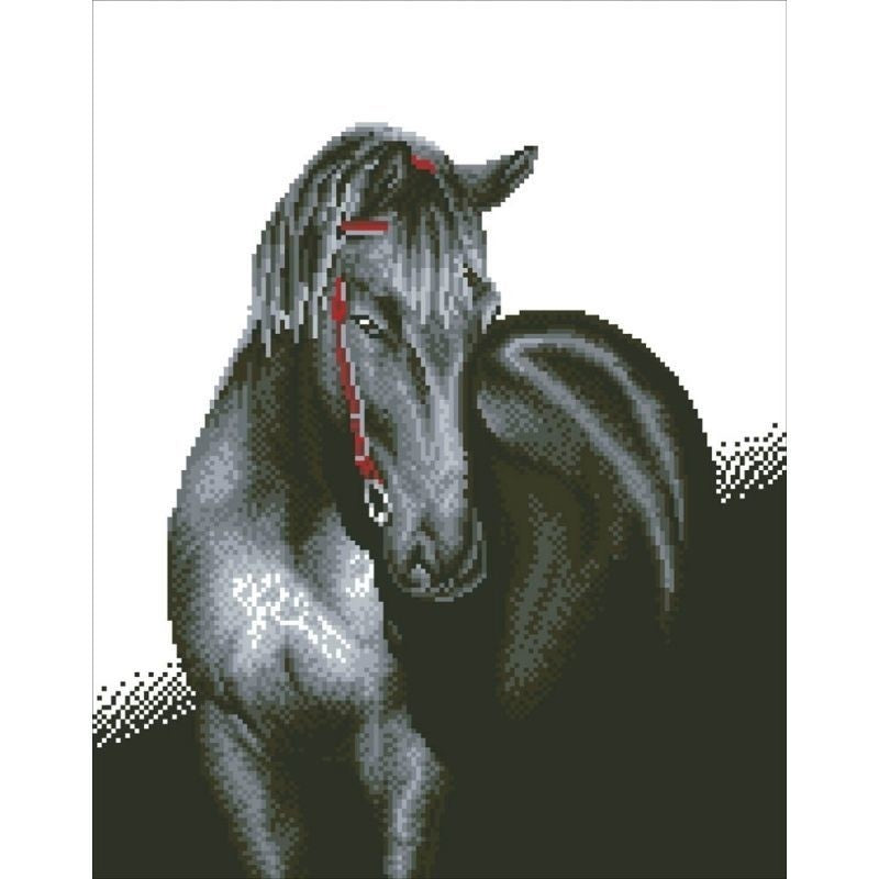Chargez l'image dans la visionneuse de la galerie, Midnight stallion diamond dotz: 53x42 cm (dd10.012)