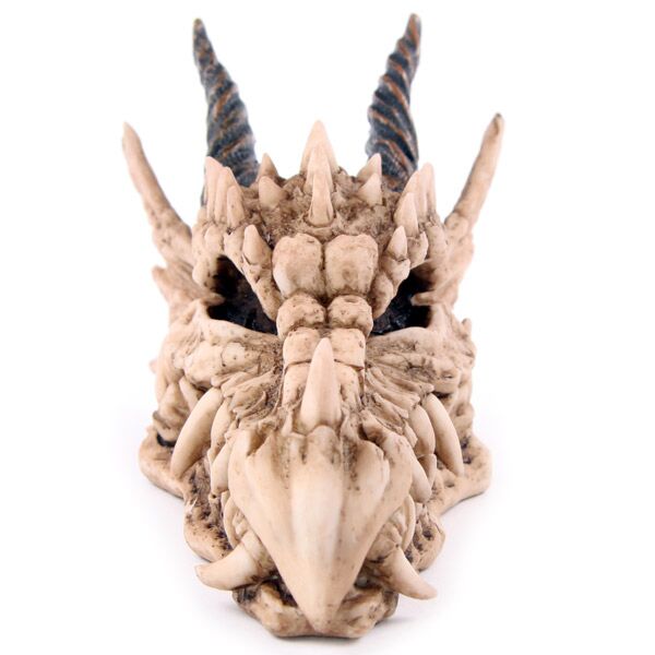 ギャラリービューアに画像をロードする, Draken schedel spaarpot