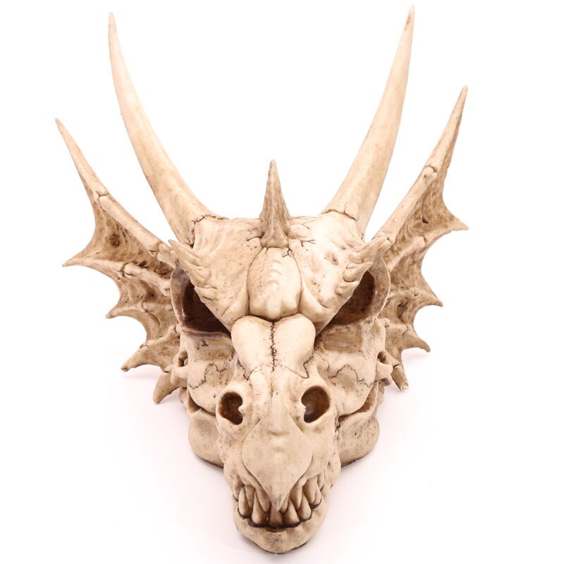 ギャラリービューアに画像をロードする, Drakenschedel decoratie - large