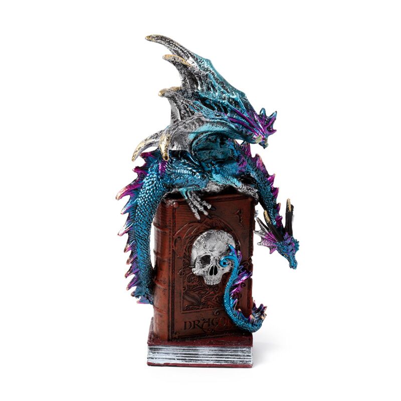 Laden Sie das Bild in Galerie -Viewer, Dark legends book of the dragon