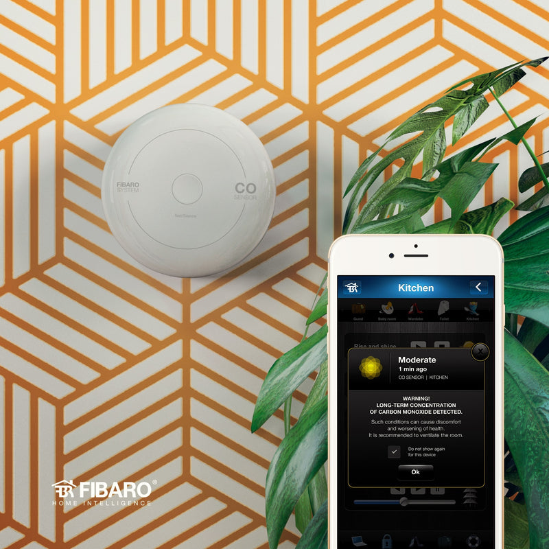 Load image into Gallery viewer, Fibaro CO Sensor