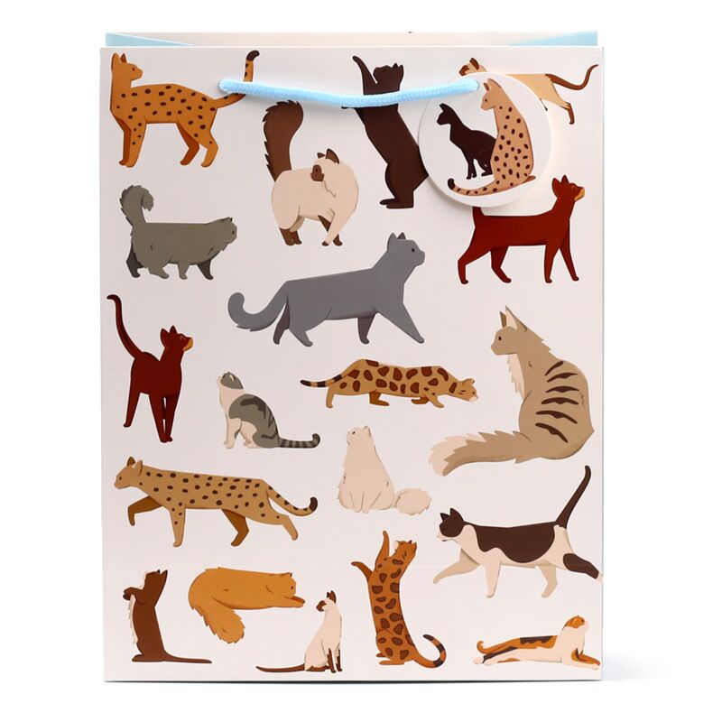 Laden Sie das Bild in Galerie -Viewer, Feline fine katten - cadeautasje large