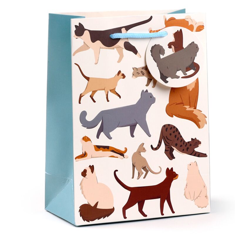 Laden Sie das Bild in Galerie -Viewer, Feline fine katten - cadeautasje medium