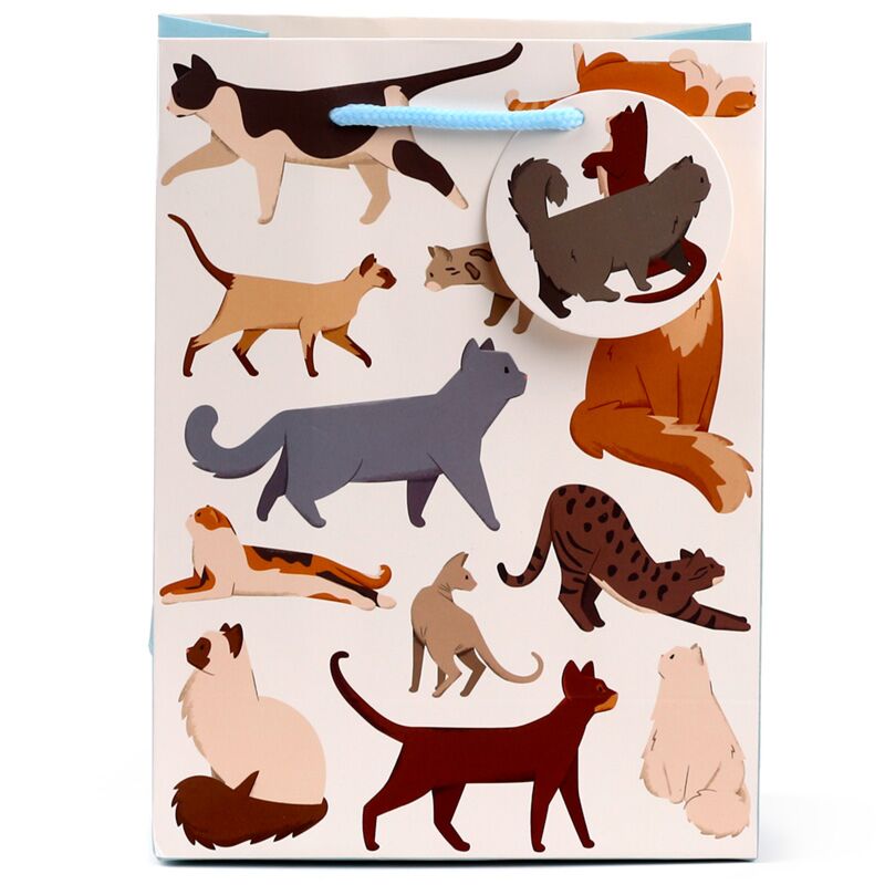Laden Sie das Bild in Galerie -Viewer, Feline fine katten - cadeautasje medium
