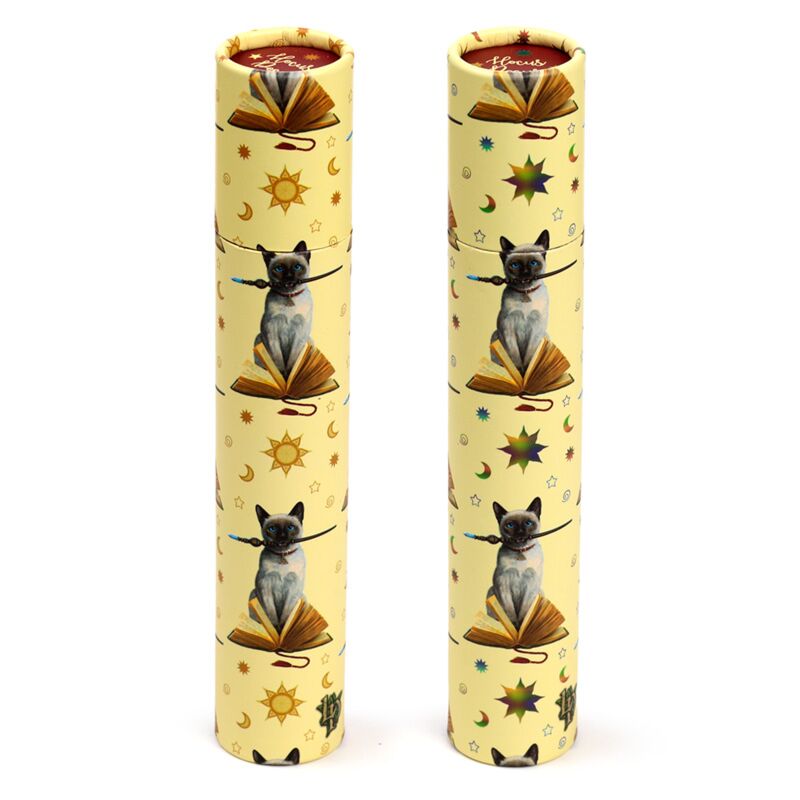 Cargue la imagen en el visor de la galería, Lisa parker hocus pocus kat large tekenkoker 12 kleurpotloden