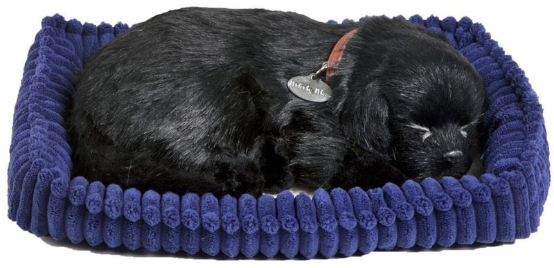 Load image into Gallery viewer, Perfect petzzz soft black labrador (96323)