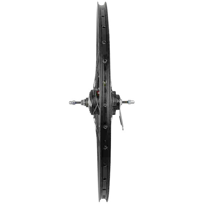 Load image into Gallery viewer, Roland achterwiel 28 36g ryde taurus21 nexus 8 remnaaf zwart