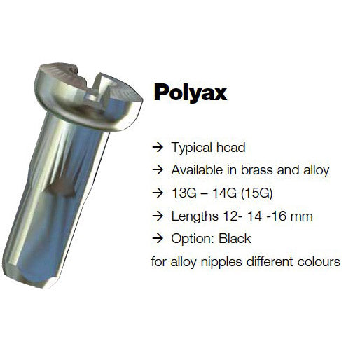 Afbeelding laden in galerijviewer, Sapim spaaknippel 14 polyax 14mm zilver messing (100st)