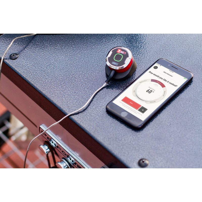 Load image into Gallery viewer, Weber IGrill mini