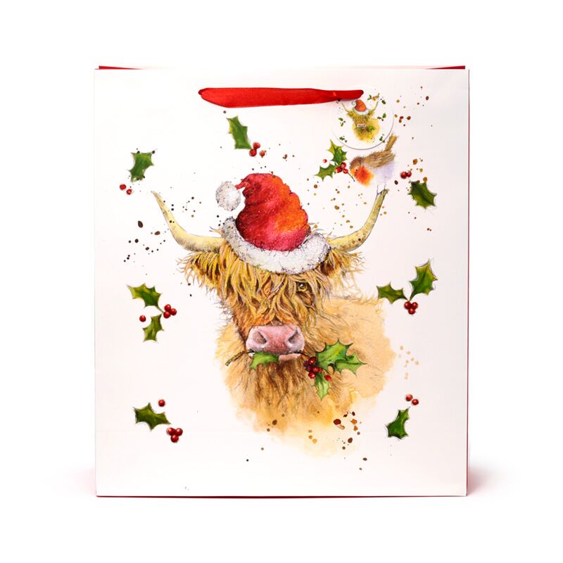 Laden Sie das Bild in Galerie -Viewer, Jan pashley kerstmis highland coo cadeautasje xl