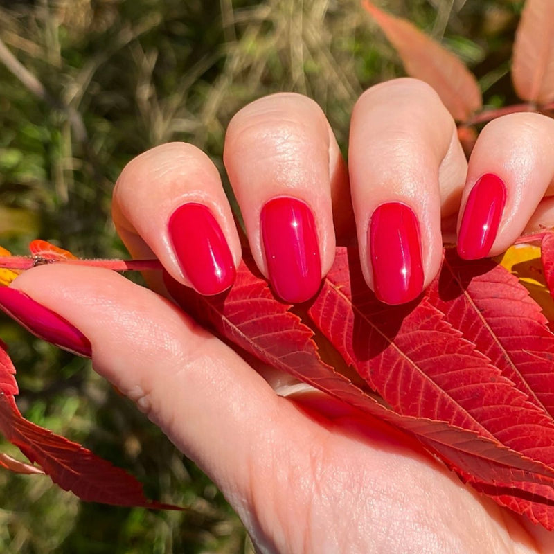 Load image into Gallery viewer, Claresa starter set gellak zonder lamp